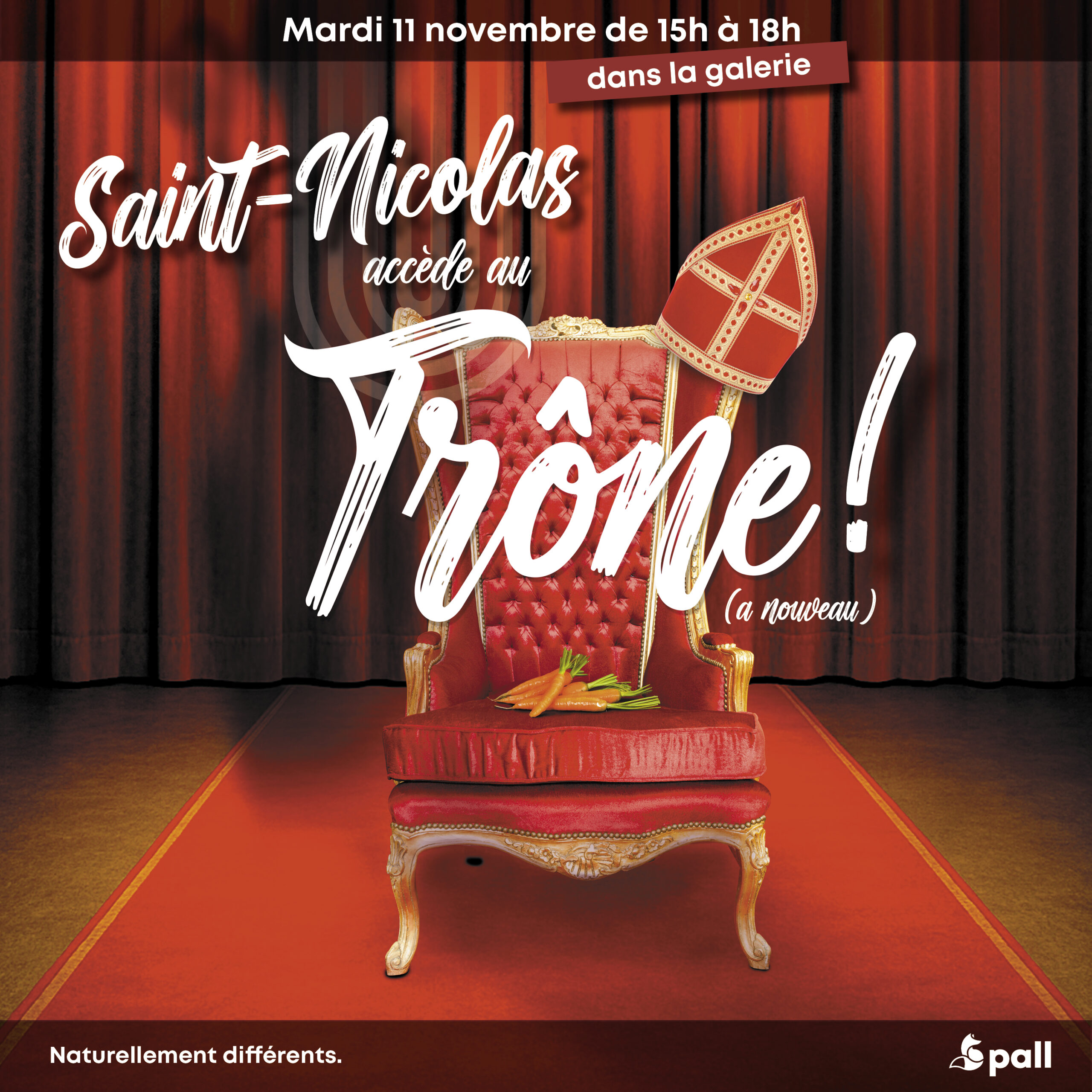 Pall_Saint_nicolas_2025_800x800